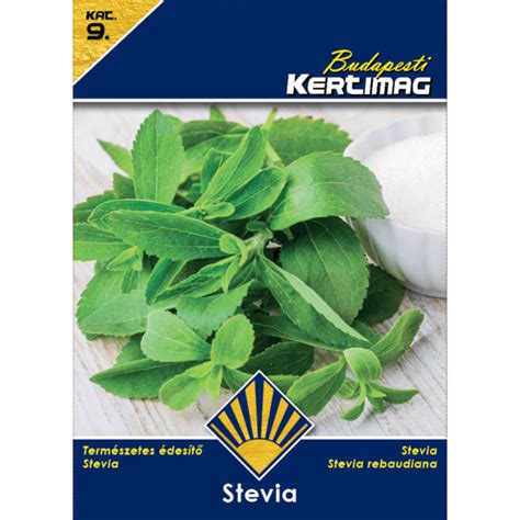 stevia növény cserépben