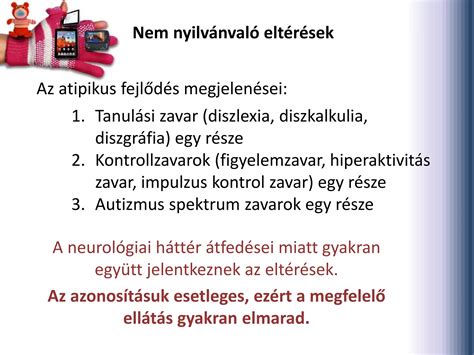 A kölyökkutyák fejlődési szakaszai és az ahhoz tartozó tipikus viselkedésjegyek