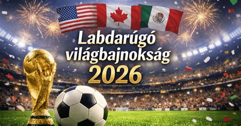 A 2010-es labdarúgó-világbajnokság emlékei