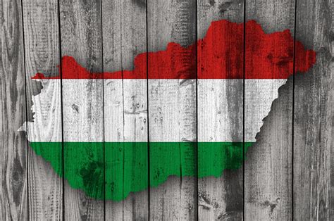 Térkép az abortuszra vonatkozó jogi szabályozásokról a világon