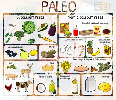 Paleolit étrend alapjai infografika