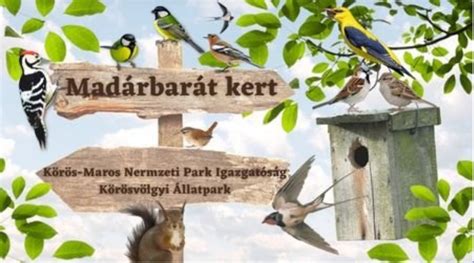 madárbarát kert