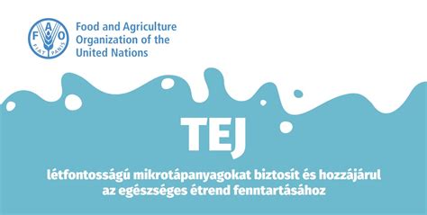 Infografika a xilitol hatásairól csecsemőknél