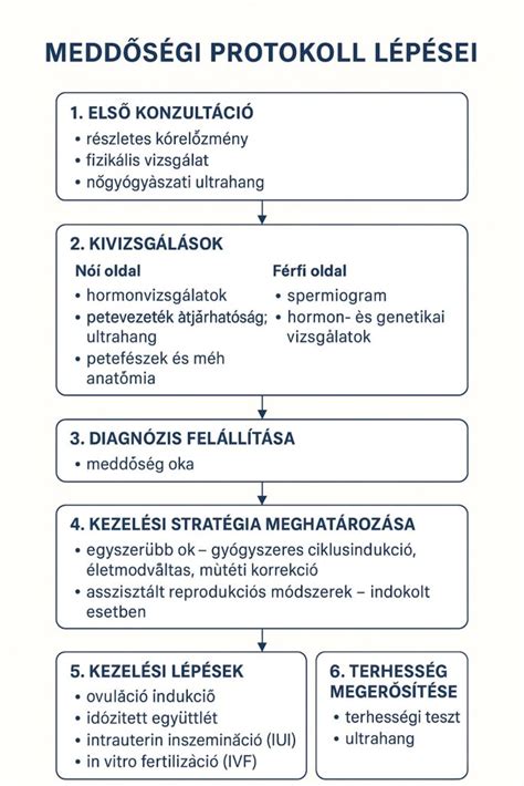A lombikprogram folyamatának vázlata