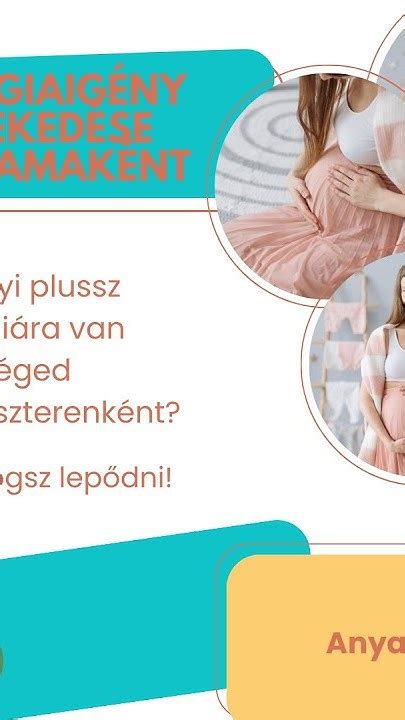 kismama pocakjának változása trimeszterenként