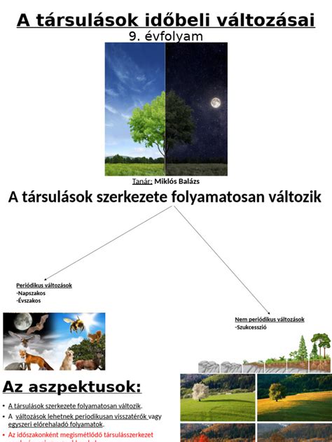 A magzatvíz mennyiségének változásai