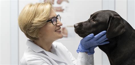 Humana babapép termékcsalád és egészséges táplálás