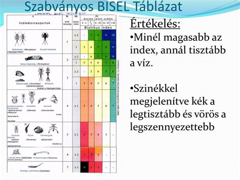 BISEL táblázat