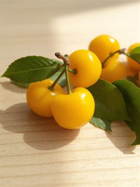 Cseresznye tápértéke és egészségügyi előnyei