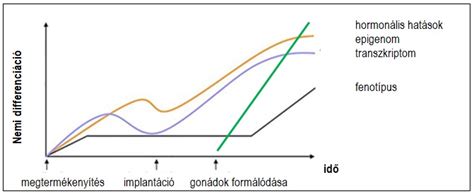 Genetikai és epigenetikai hatások