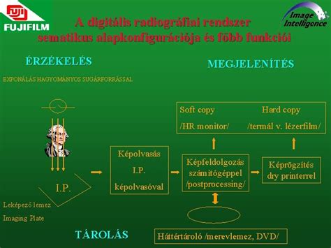 A bábakoktél főbb összetevői és azok funkciói