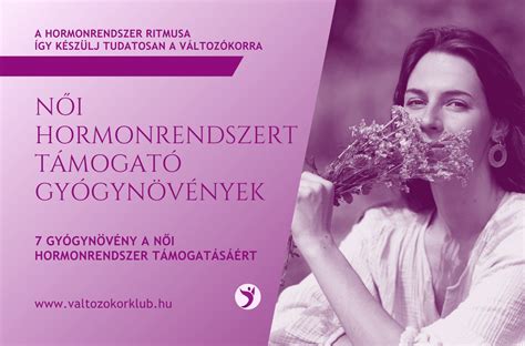 A női hormonrendszert bemutató anatómiai ábra