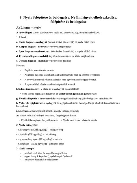 A méhszáj felépítése és a nyákdugó elhelyezkedése