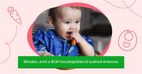 Babatervezés előtti felkészülés - mikor kezdjük el a vitaminpótlást?