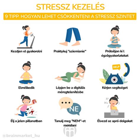 Infografika a stressz hatásairól a szervezetre