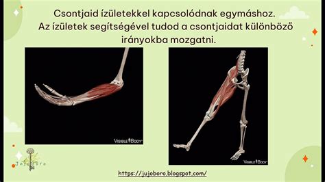 A hasmenés típusai a tünetek időtartama szerint