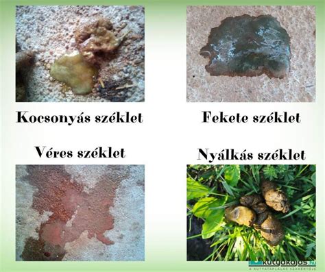 Véres széklet lehetséges okai életkor szerint