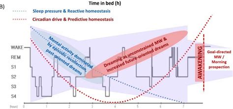 Diagram, amely az NST görbe reaktív és nem reaktív eredményeit mutatja