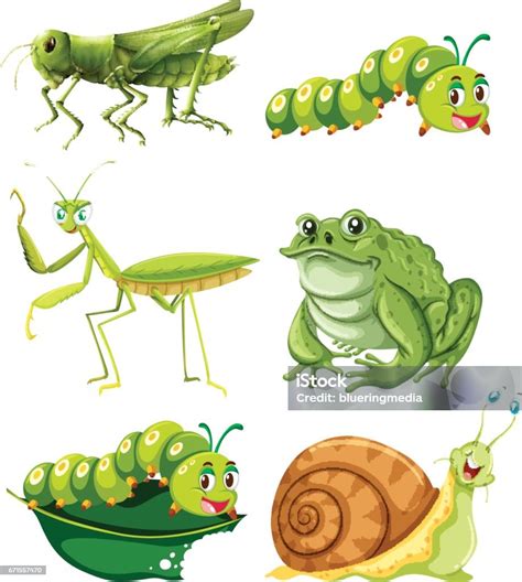illusztráció különböző típusú orrszívókról