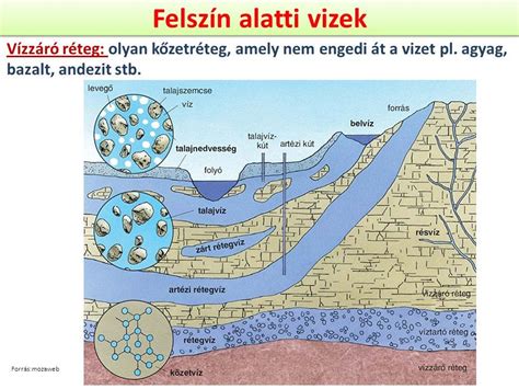 A méhlepény különböző típusai és elhelyezkedése