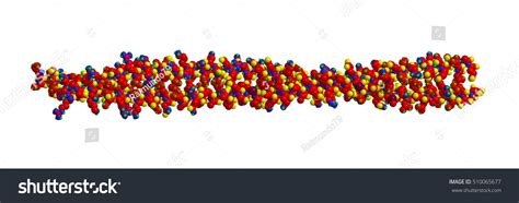 Keratin molekula szerkezete