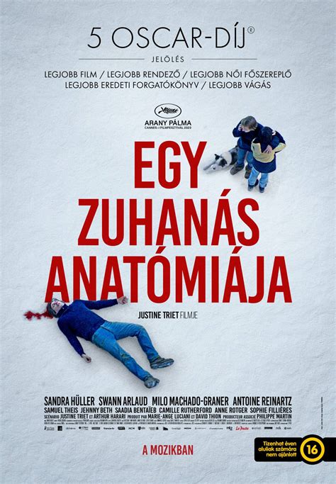 A fiúgyermek ivarszerveinek anatómiája