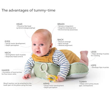 Tummy time gyakorlatok csecsemőknek