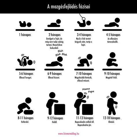 Csecsemő fejlődési szakaszai