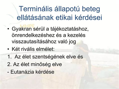 Lombikprogram költségei és támogatása