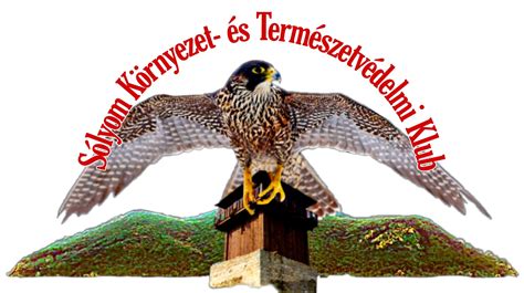 orvosi szakrendelői környezet és eszközpark