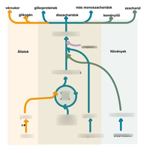 A meddőségi kezelések statisztikáit bemutató diagram