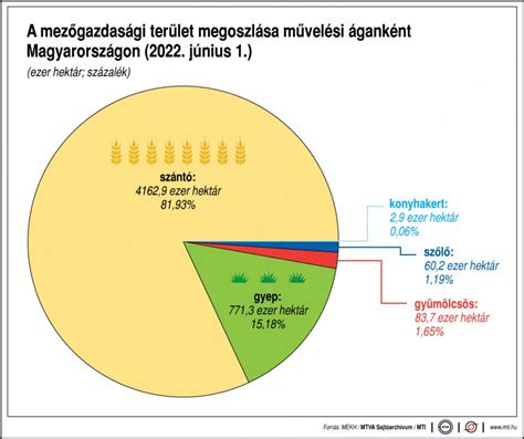 A perinatális veszteség elfogadottsága és tabusítása Magyarországon