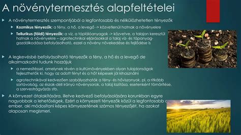 A cigányzene fejlődése és kihívásai