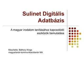 A Sulinet Digitális Tudásbázis logója