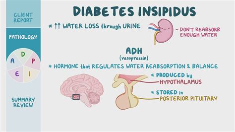 A nefrogén diabetes insipidus kóroka