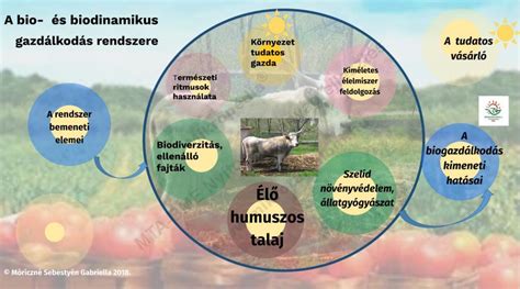 Biodinamikus gazdálkodás és körömvirág termesztés