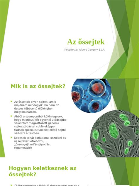 Az őssejtek differenciálódása és felhasználása az embriómodellek létrehozásában