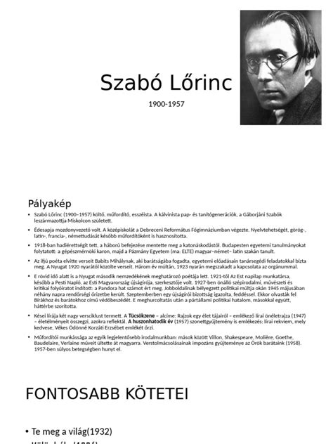 Szabó Lőrinc baráti köre ábrázolva