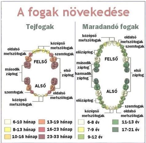 A fogzás és a növekedési ugrások hatása az alvásra
