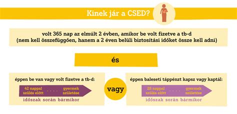 CSED igénylési határidők
