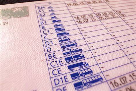 Jogosítvány kategóriákat és korhatárokat bemutató infografika