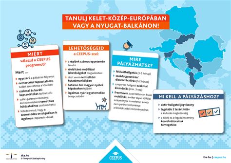 Lombikbébi program fázisait ábrázoló infografika