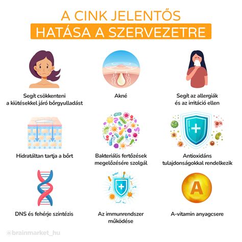 K-vitamin hatása újszülöttekre infografika