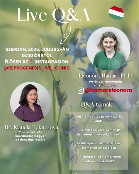 IVF szaktanácsadás folyamata