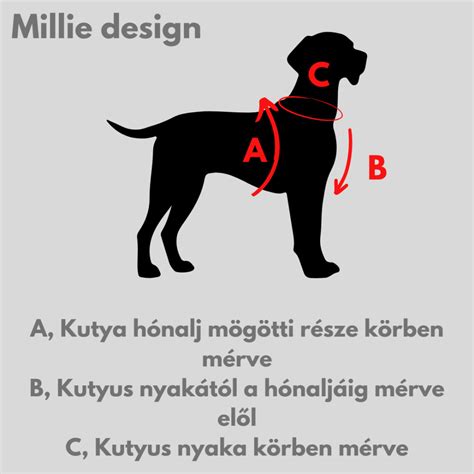 Kutya hám méretezési útmutató