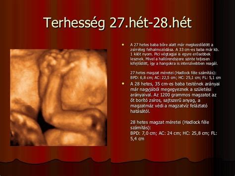 A 28 hetes magzat fejlődése