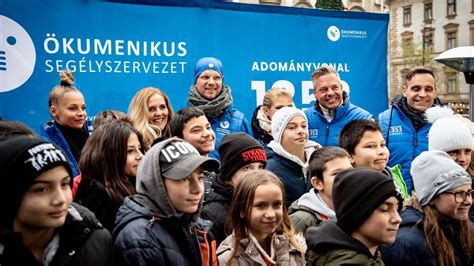 Gyermekeknek szervezett élményprogramok fotói