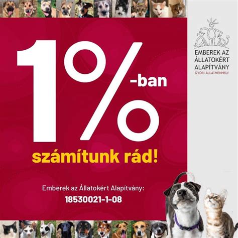 A méhszáj nyílásának jelzései a leleten