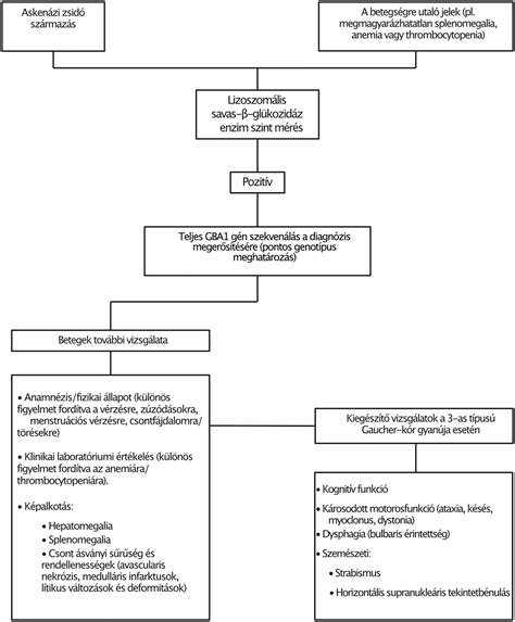 Mekónium ileusz diagnosztikai algoritmus
