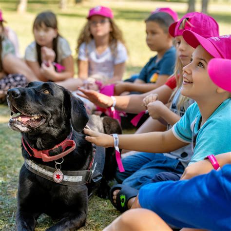 gyermekek állatokkal